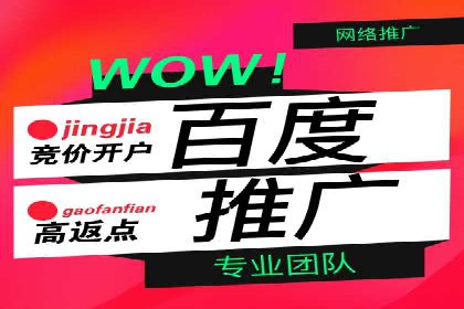 成功案例揭秘：sem账户托管的转化率奇迹